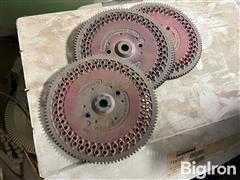 IMG_4288.jpeg