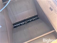 IMG_4282.jpeg