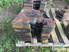 IMG_8449.JPG