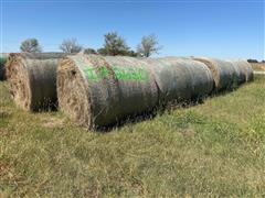 Prairie Hay 