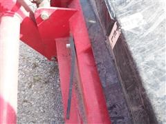DSCF0599.JPG