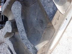 DSCF0554.JPG