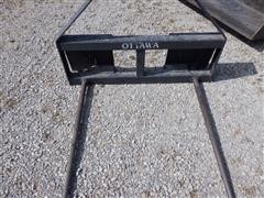 DSCF0595.JPG