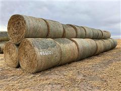 2023 Sorghum Sudangrass Round Hay Bales 