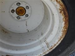 DSCF3403.JPG