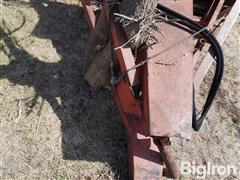 DSC05219.JPG