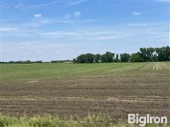 IMG_2602.jpeg