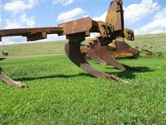IMG_0280.JPG