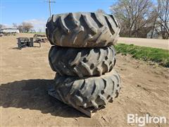 20250414_105235.jpg