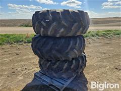 20250414_105239.jpg