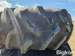 20250414_105243.jpg