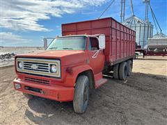 1973 Chevrolet C65 T/A Grain Truck 