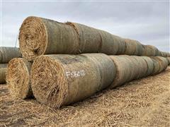 2023 Sorghum Sudangrass Round Hay Bales 