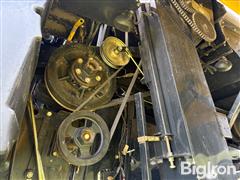 IMG_9239.jpeg
