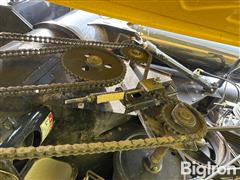 IMG_9225.jpeg