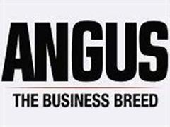 Angus logo.jpg