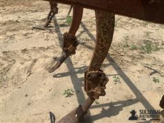 IMG_1553.jpeg