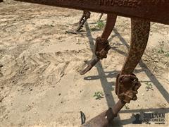 IMG_1554.jpeg