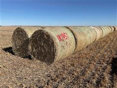 Millet (Forage) Hay Big Round Bales 