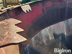 20250313_101008.jpg