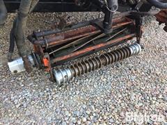 IMG_4731.jpeg