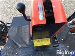 IMG_4762.jpeg
