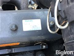 IMG_4774.jpeg