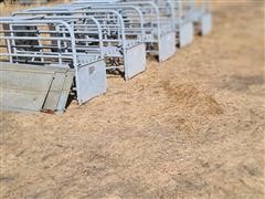 Morman Farrowing Crates On Risers 