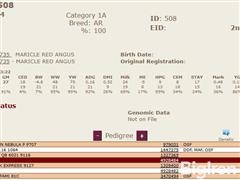 508Pedigree.JPG