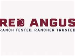 Red Angus Logo.jpg