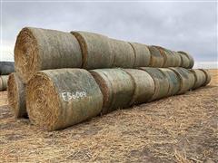 2023 Sorghum Sudangrass Round Hay Bales 