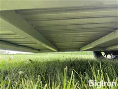 IMG_8223.jpeg