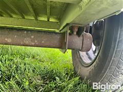 IMG_8207.jpeg