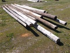 Wood High Line Poles 