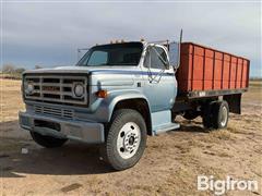 1981 GMC 6000 S/A Grain Truck 