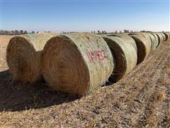 Millet (Forage) Hay Big Rounds 