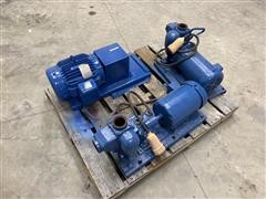 Electric Water Pumps 