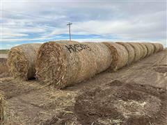 Cane/Sorghum Hay Bales 