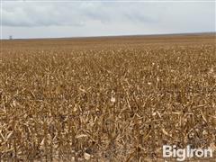 Tract 5: 314.6+/- Acres Sully County, SD