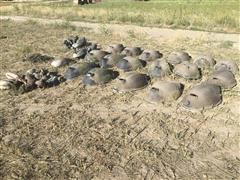 Goose & Duck Decoys 