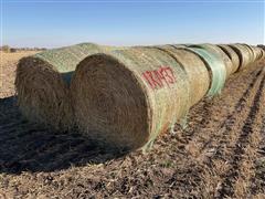 Millet (Forage) Hay Big Rounds 