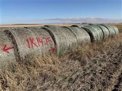 Wheat Hay Big Rounds 