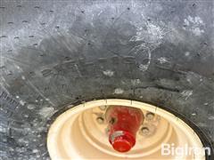 517ba6f85d8a48a8b809a2871d44f900.jpg