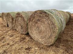 items/4788e0570b92ee1192bd000d3ad43525/34bales2023crphay-6_0b1ce2eb65e24a14ab08cbb048836423.jpg