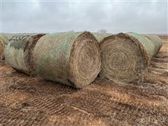 34 Bales 2023 CRP Hay 