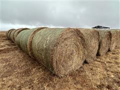 items/4788e0570b92ee1192bd000d3ad43525/34bales2023crphay-6_e1e6f2bbe0fb4e21a63efdac0698cd67.jpg