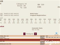 509Pedigree.JPG