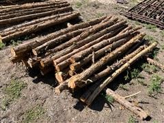 Cedar Posts 