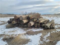 Wooden Fence Posts 