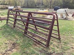 16’ Cattle Panels 